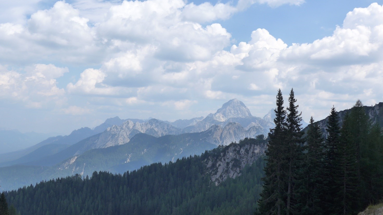 Foresta di Tarvisio